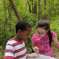 Two students look at bucket of water to identify macroinvertebrates